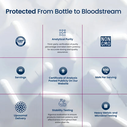 Liposomal NMN Capsules