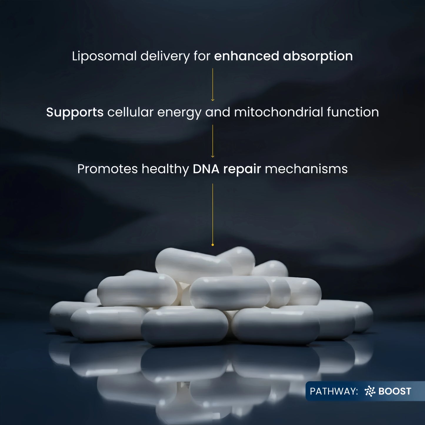 Liposomal NMN Capsules