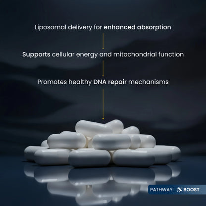 Liposomal NMN Capsules