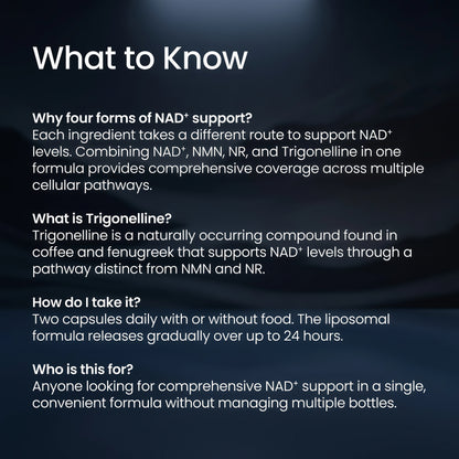 NAD+ Complete